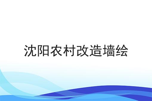 沈阳农村改造墙绘